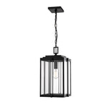 Millennium Lighting 1 Light 17.5" Outdoor Mini-Pendant, Oakland Collection