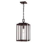 Millennium Lighting 1 Light 17.5" Outdoor Mini-Pendant, Oakland Collection