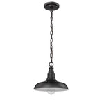 Millennium Lighting 1 Light Outdoor Hanging Lantern (Available in Galvanized, Powder Coat Black, or Powder Coat Bronze Finishes)