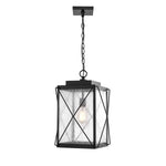 Millennium Lighting 1 Light 18.5" Outdoor Mini-Pendant, Robinson Collection