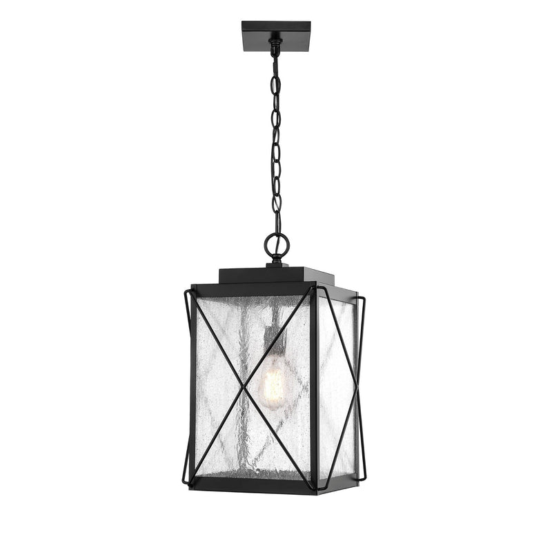 Millennium Lighting 1 Light 18.5" Outdoor Mini-Pendant, Robinson Collection