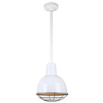 Quick Ship Hi-Lite 10" Deep Bowl Collection Stem Hung Pendant, H-QSN16110 Series (Black, White, Galvanized Finishes)